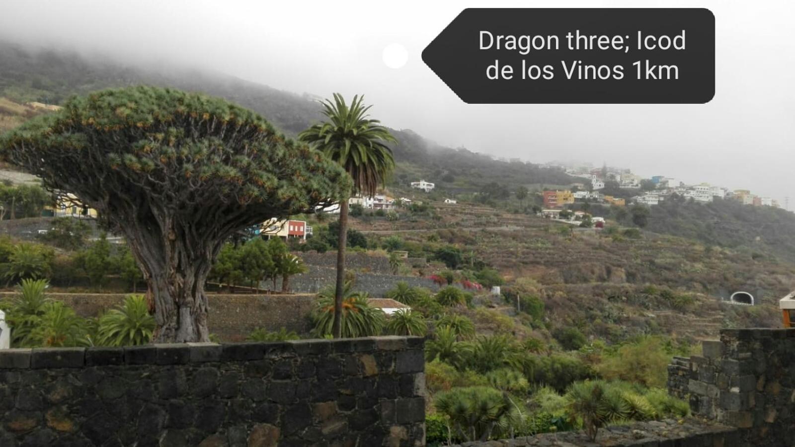 Los Geranios N.25 Icod De Los Vinos Ngoại thất bức ảnh